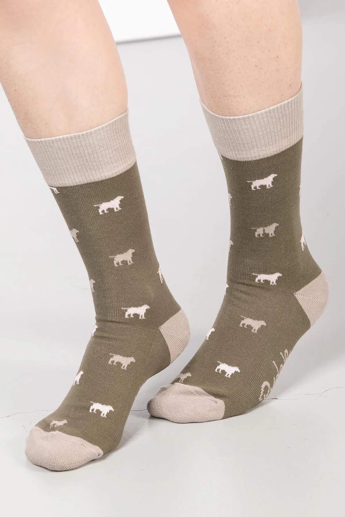 Ladies Wagging Dog II Ankle Socks