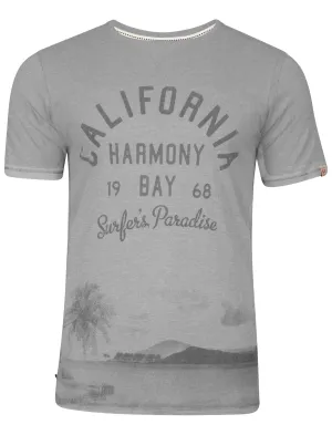 Norton Cove Motif T-Shirt in Light Grey Marl - Tokyo Laundry